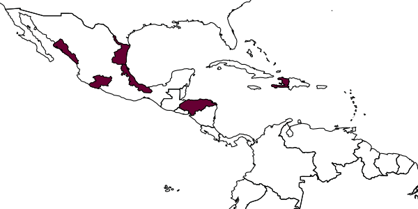 map of Anagrus yawi     Fullaway, 1944